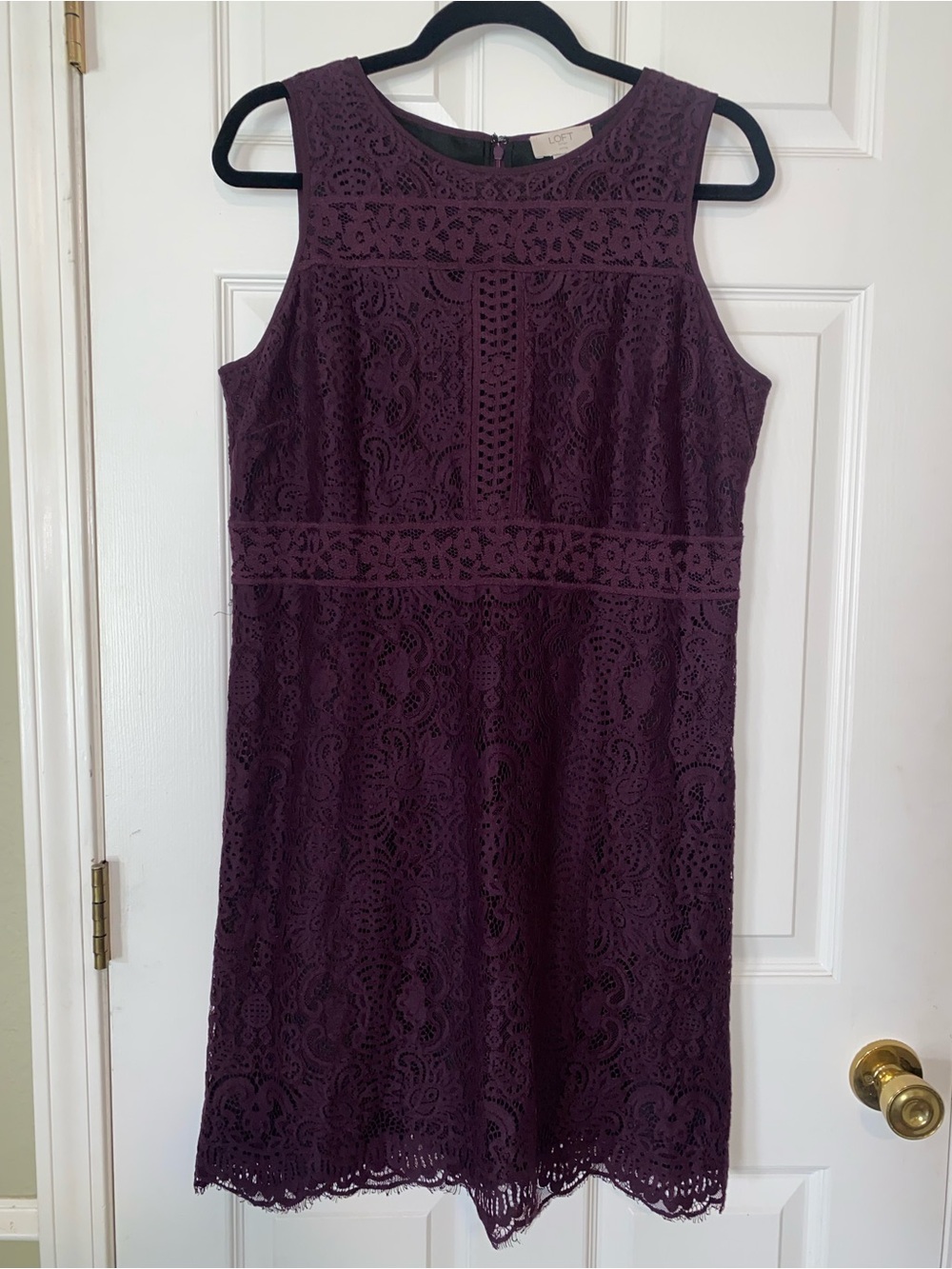 LOFT Sleeveless Lace Midi Shift Dress in Plum